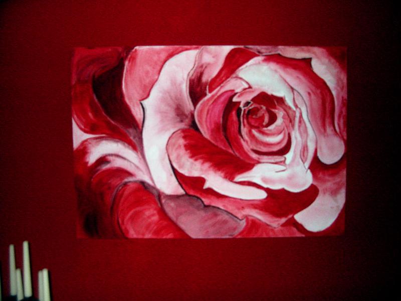 rose vor rot.jpg